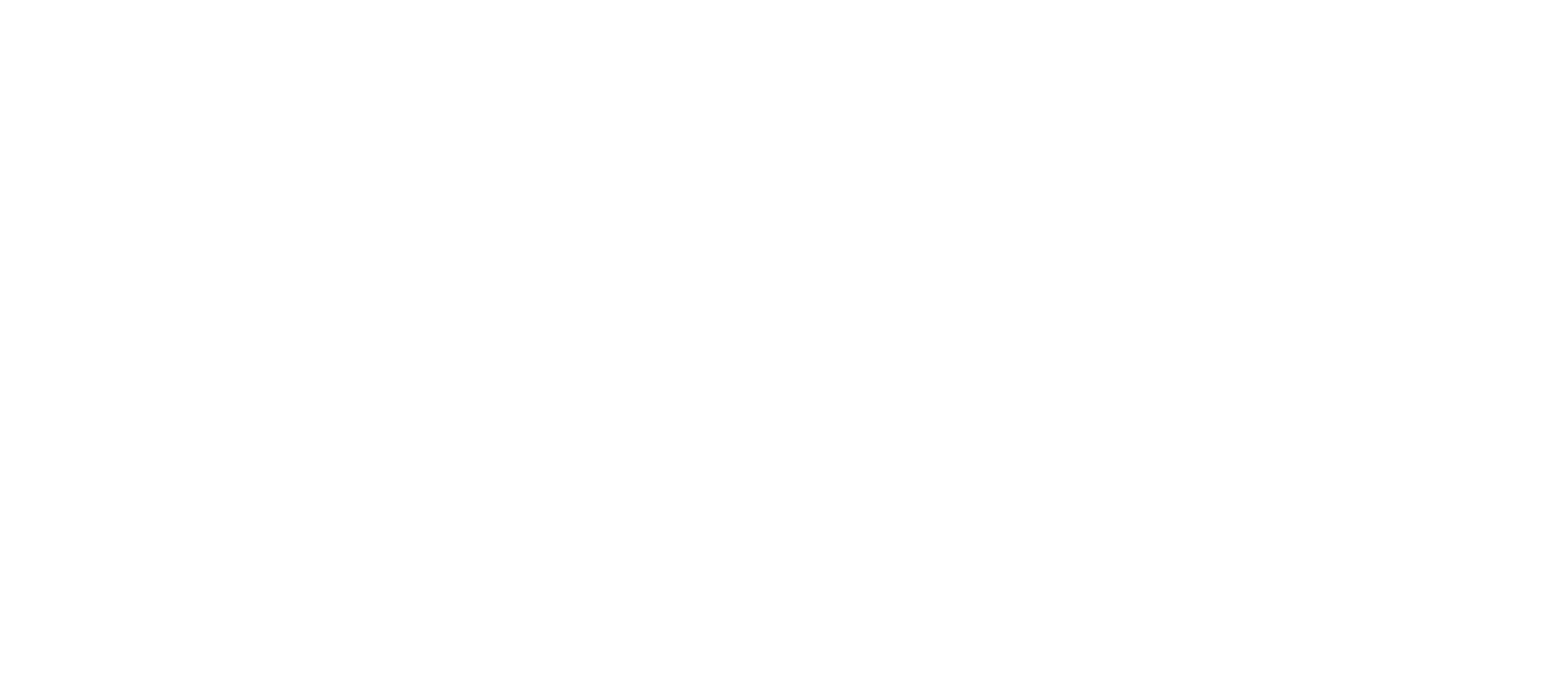 Wise_Platform_Interim_Logo-1